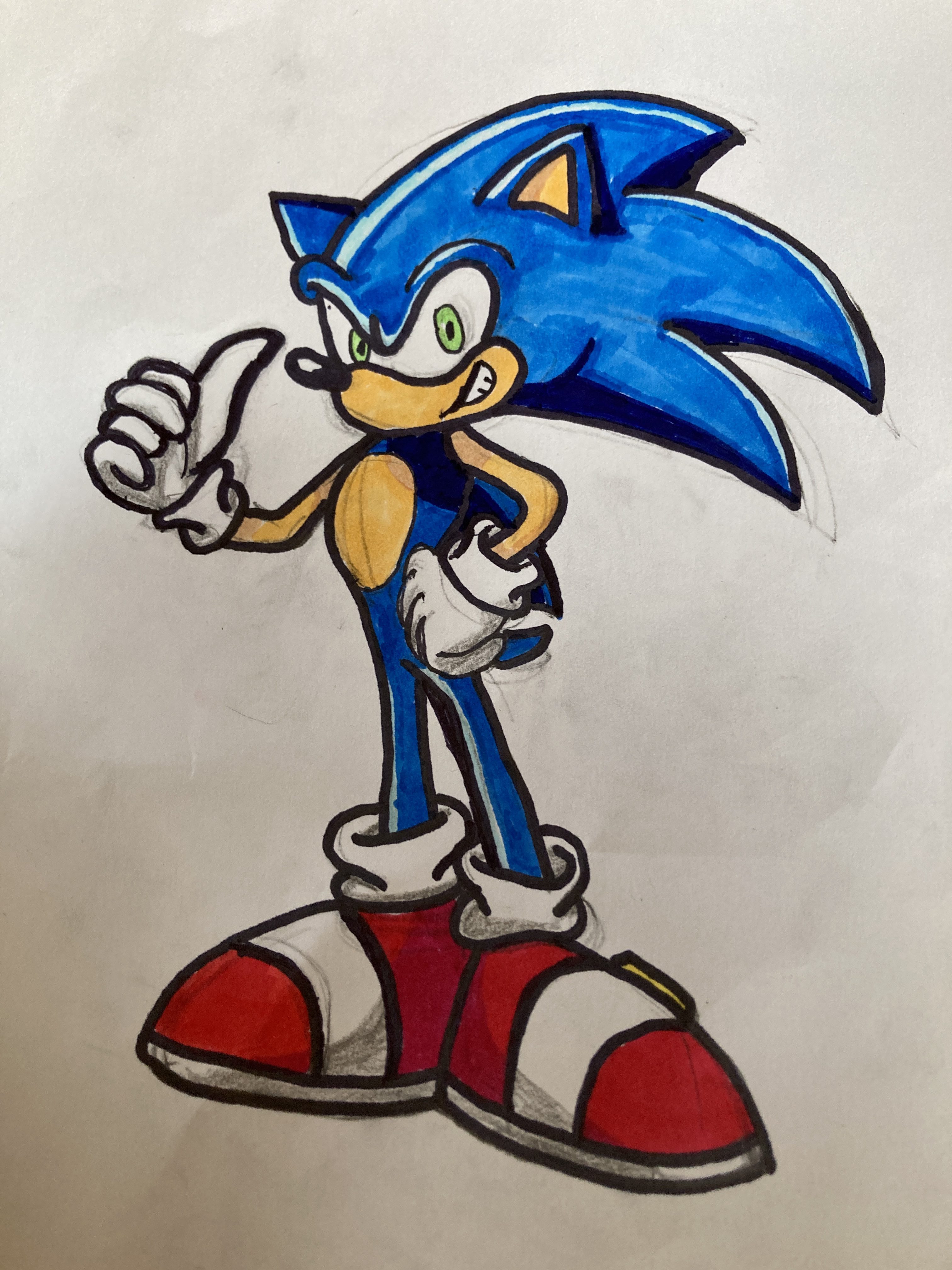 Sonic and Shadow the Hedgehog!