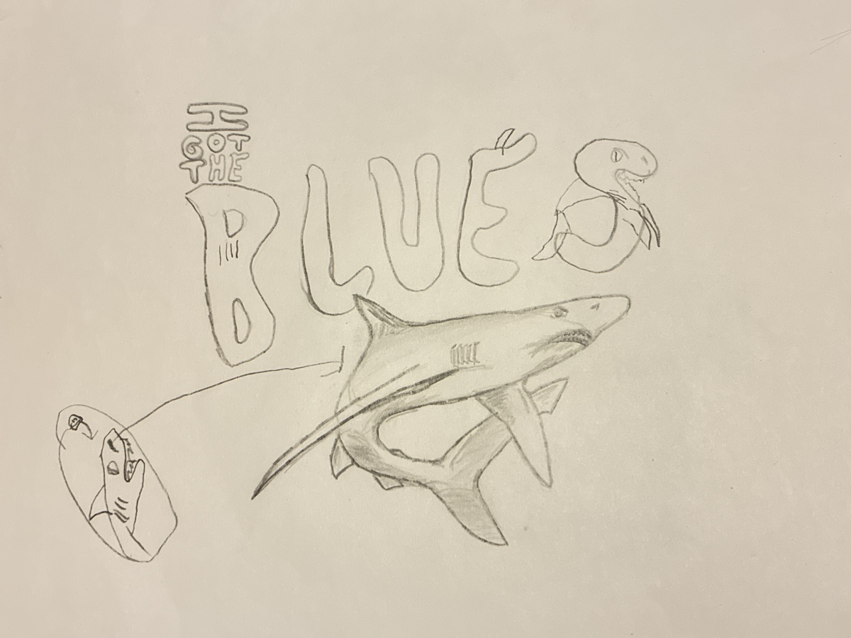 Sharks!